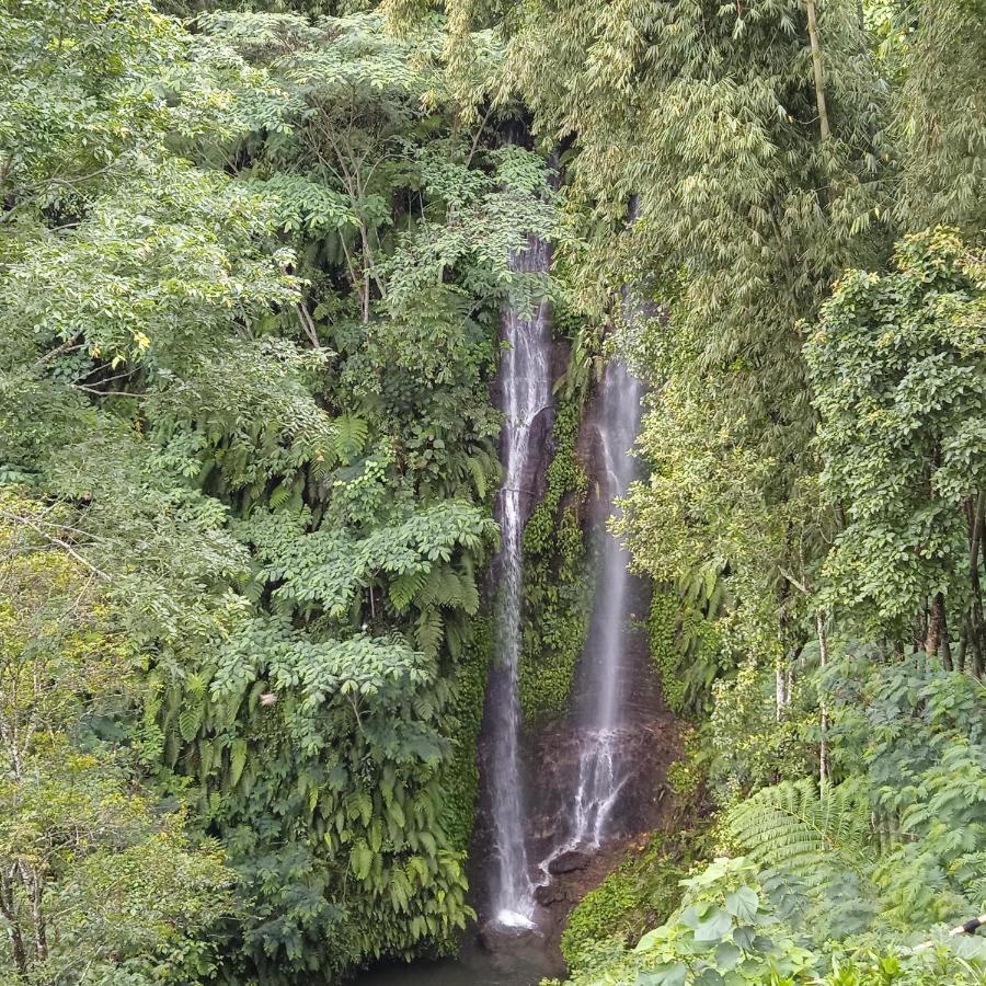 Munduk Tutub Waterfall View Екстер'єр фото