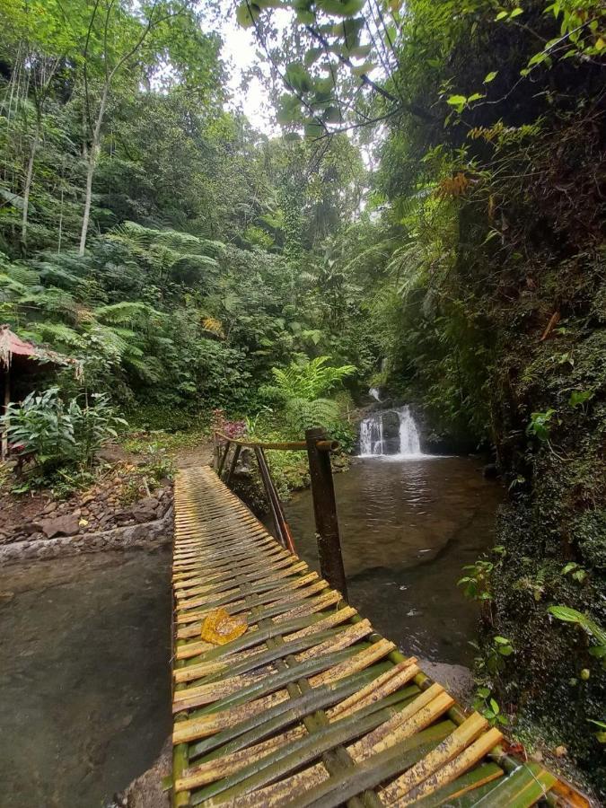 Munduk Tutub Waterfall View Екстер'єр фото