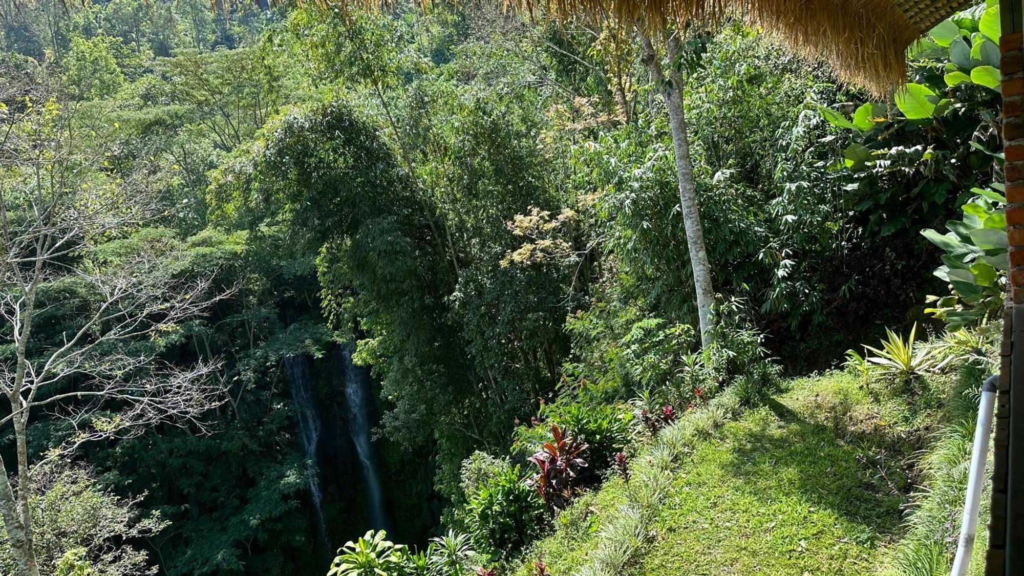 Munduk Tutub Waterfall View Екстер'єр фото